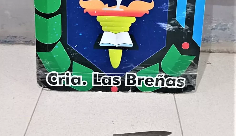 Promovía desorden, armado con un cuchillo, pero fue detenido