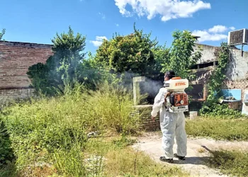 Control de Vectores trabajó preventivamente