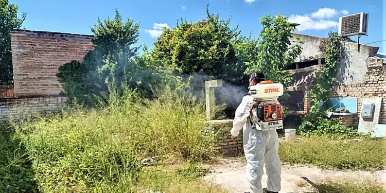 Control de Vectores trabajó preventivamente