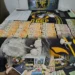 Personal de Drogas Charata, allanó domicilio en Las Breñas