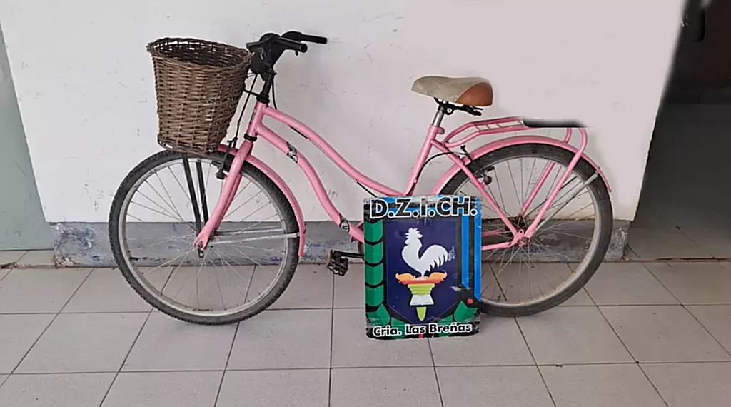 Policía recuperó bicicleta hurtada momentos antes