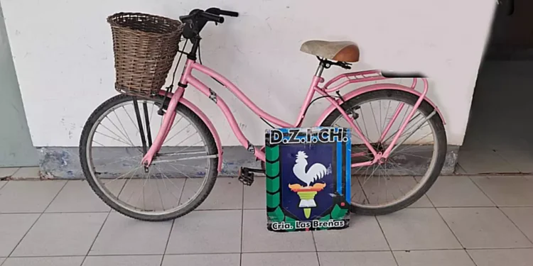 Policía recuperó bicicleta hurtada momentos antes