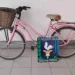 Policía recuperó bicicleta hurtada momentos antes