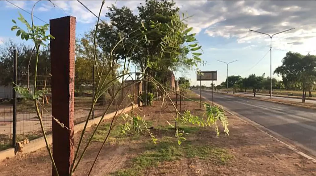 “Si cada habitante pondría una plantita, como mejoraría Las Breñas”