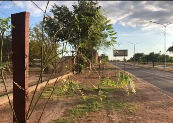 “Si cada habitante pondría una plantita, como mejoraría Las Breñas”