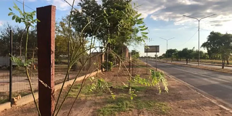 “Si cada habitante pondría una plantita, como mejoraría Las Breñas”