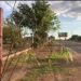 “Si cada habitante pondría una plantita, como mejoraría Las Breñas”