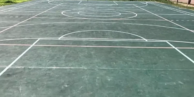 Cooperadora de Escuela 77, trabajando sin descanso