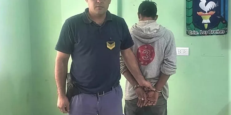 Denunció a su ex por ingresar a su casa y golpearla