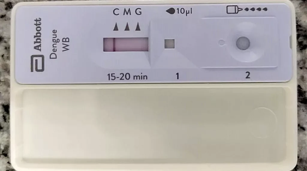 Se registró un caso de Dengue en Las Breñas