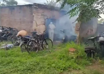 Gran cantidad de mosquitos, se fumiga en instituciones