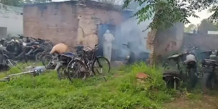 Gran cantidad de mosquitos, se fumiga en instituciones