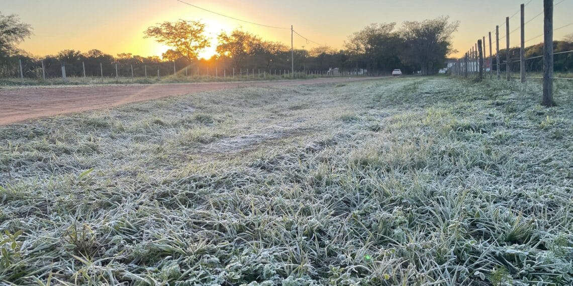 Las Breñas registró -3,5° C a la intemperie