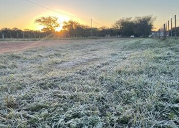Las Breñas registró -3,5° C a la intemperie