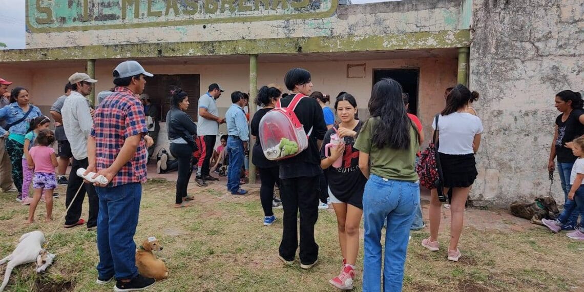 “NO MÁS CASTRACIONES EN LA LOCALIDAD DE LAS BREÑAS”