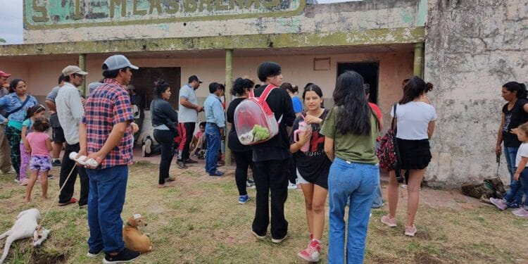 “NO MÁS CASTRACIONES EN LA LOCALIDAD DE LAS BREÑAS”