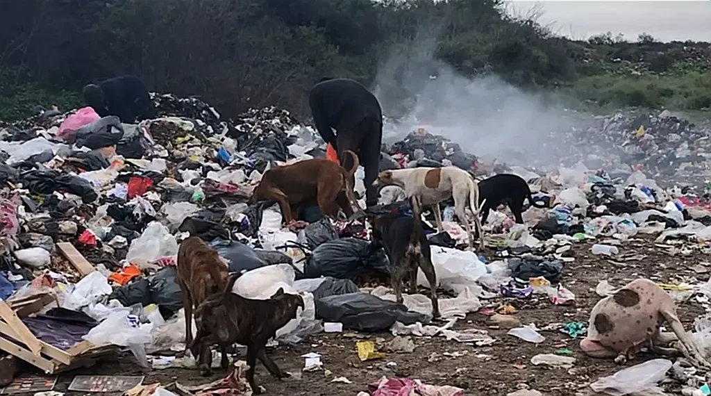 Informe Especial: Basural en Las Breñas, vivir y trabajar allí