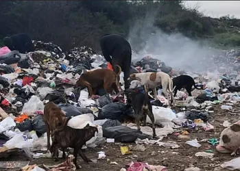 Informe Especial: Basural en Las Breñas, vivir y trabajar allí
