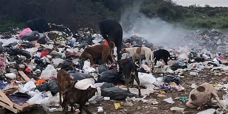 Informe Especial: Basural en Las Breñas, vivir y trabajar allí