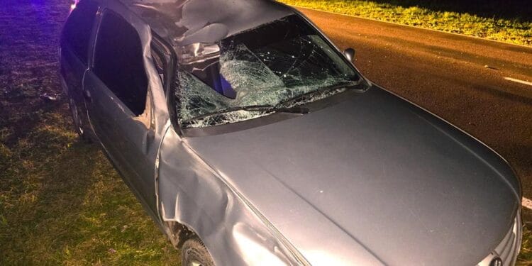 ¡Fue casi una Tragedia en la Ruta!