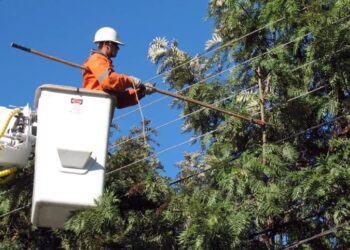 SECHEEP: Cortes de energía por poda