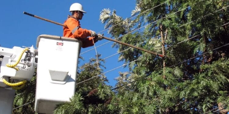 SECHEEP: Cortes de energía por poda