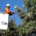 SECHEEP: Cortes de energía por poda