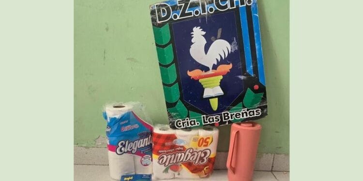 Personal policial breñense recuperó elementos robados en “La Casona”