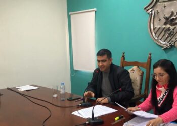 Resumen de expresiones desde ediles en Sesión