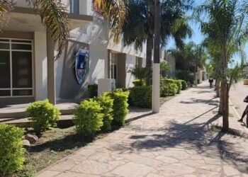 “Comunicación telepática” causa revuelo provincial