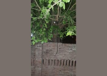 Mujer intentó quitarse la vida