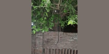 Mujer intentó quitarse la vida