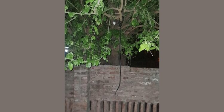 Mujer intentó quitarse la vida