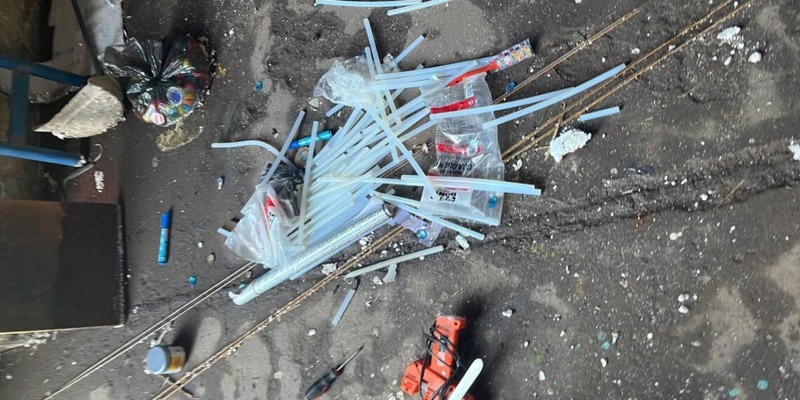 Roban galpón de una Carroza