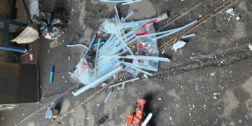 Roban galpón de una Carroza