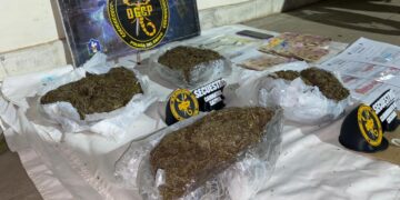 Policía de Drogas secuestró 2,850 kg de “cogollos de marihuana”