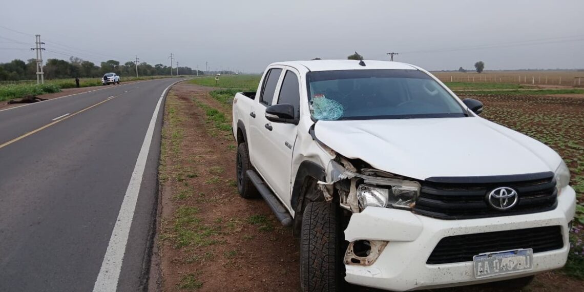 Breñense chocó a un equino con su camioneta