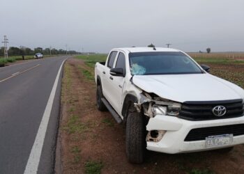 Breñense chocó a un equino con su camioneta