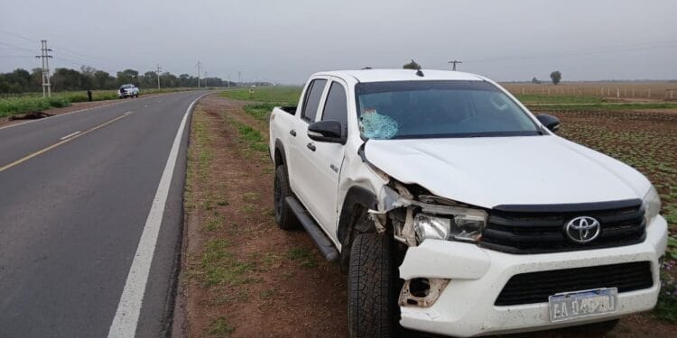 Breñense chocó a un equino con su camioneta