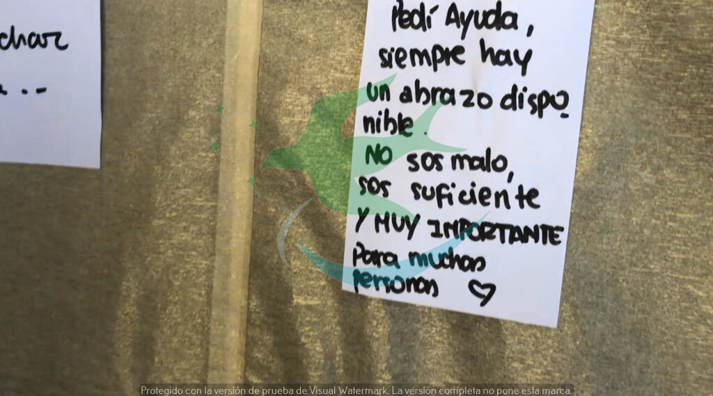 “Día Mundial de la Prevención Contra el Suicidio”