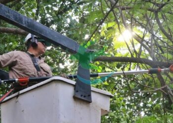 SECHEEP programó corte de luz para este Domingo