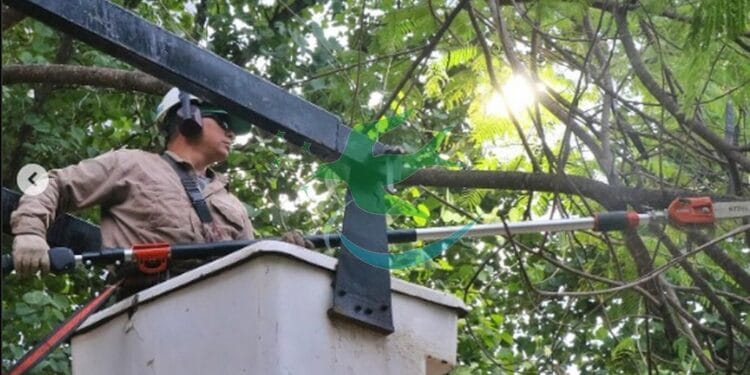 SECHEEP programó corte de luz para este Domingo