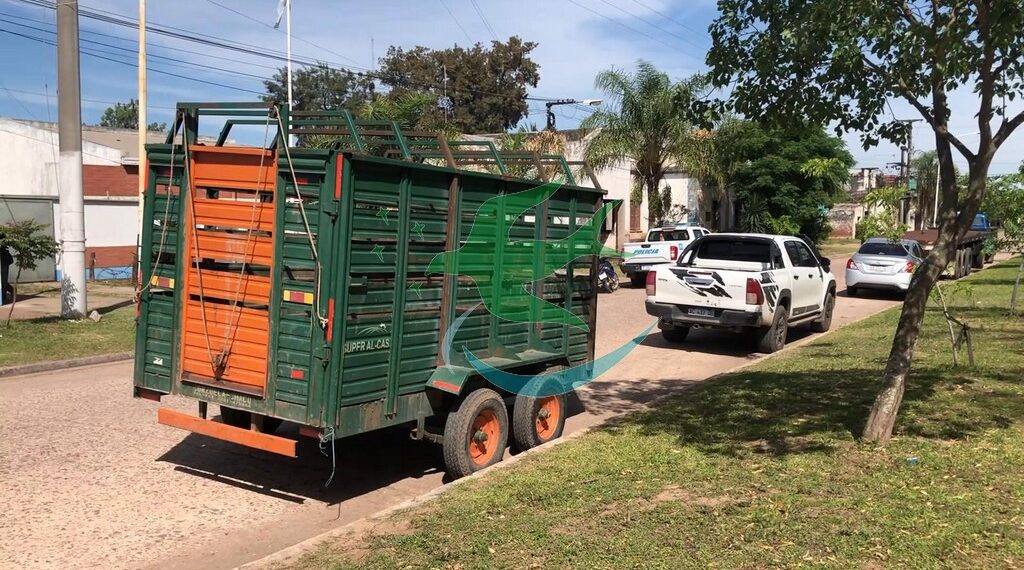 Cámaras de Seguridad, claves para dar con vehículo protagonista de siniestro vial