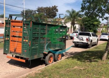 Cámaras de Seguridad, claves para dar con vehículo protagonista de siniestro vial