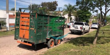 Cámaras de Seguridad, claves para dar con vehículo protagonista de siniestro vial