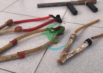 Policía secuestra gomeras y “tumbera”