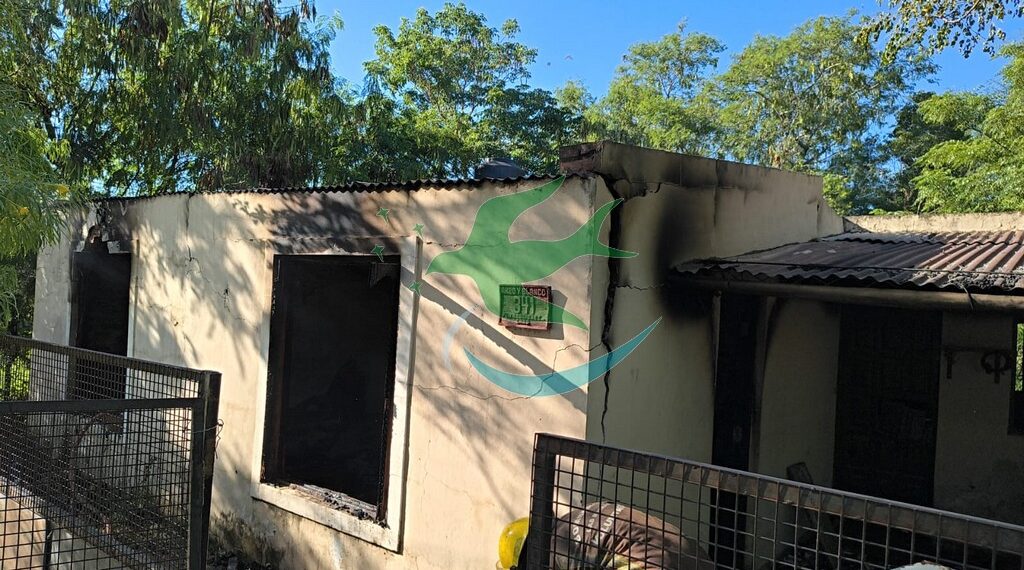 Mujer prendió fuego la casa con 2 Caniches dentro