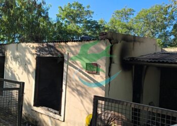 Mujer prendió fuego la casa con 2 Caniches dentro