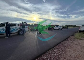 Se secuestraron 12 motos a “willieros”