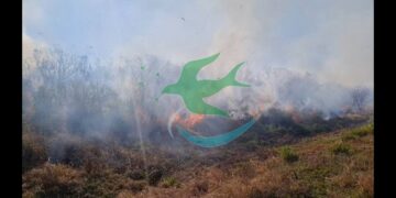 Chaco bajo “Alerta Máxima” por incendios.